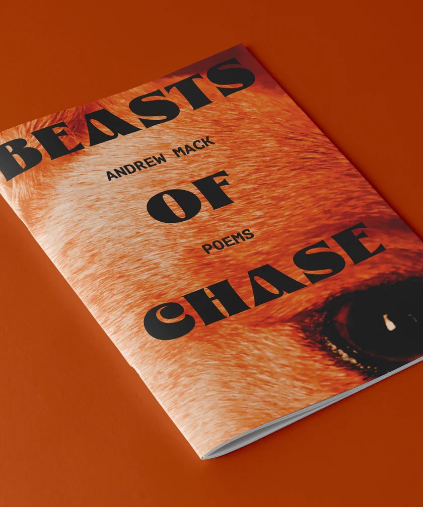 Beasts of Chase by Andrew Mack — cover designed for Loblolly Press